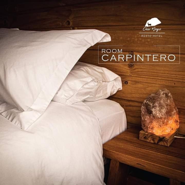 Hotel Cerro Negro Coyhaique Kültér fotó